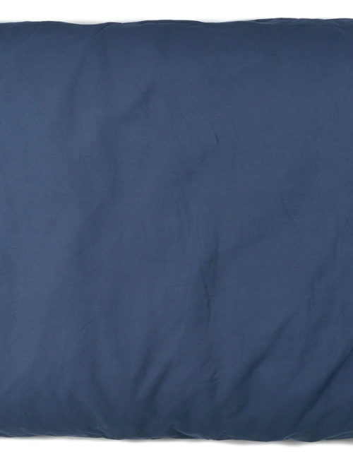 #45501 The Beast #45501 The Beast