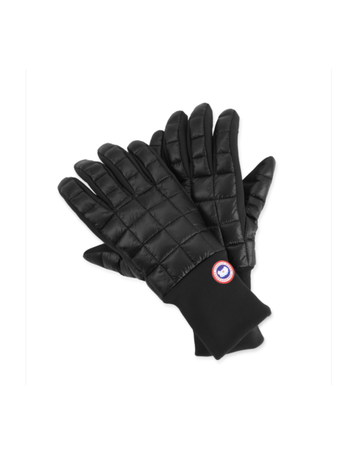 5254M CG Northern Glove Liner (1)