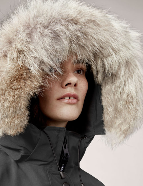 6660L CG Trillium - Graphite (8) 6660L CG Trillium - Graphite (8)